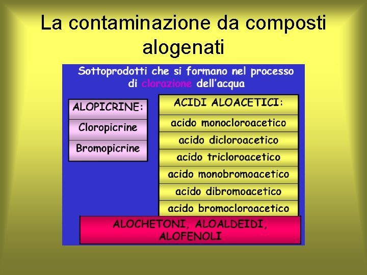 La contaminazione da composti alogenati 