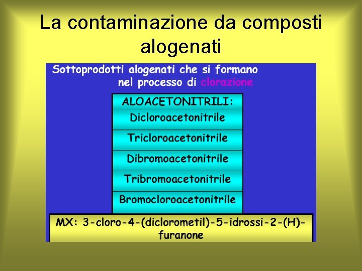 La contaminazione da composti alogenati 