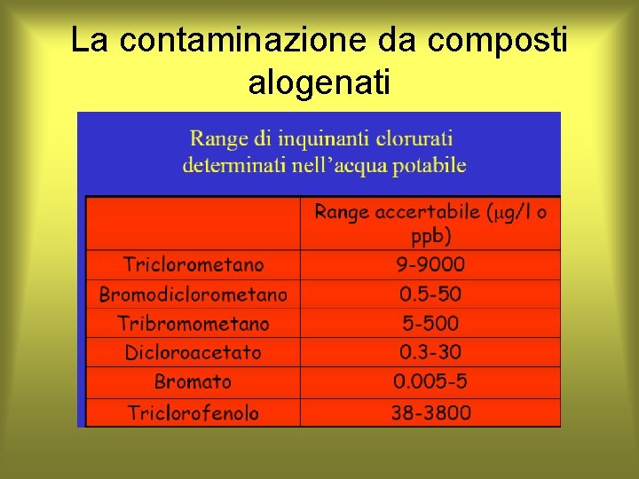 La contaminazione da composti alogenati 
