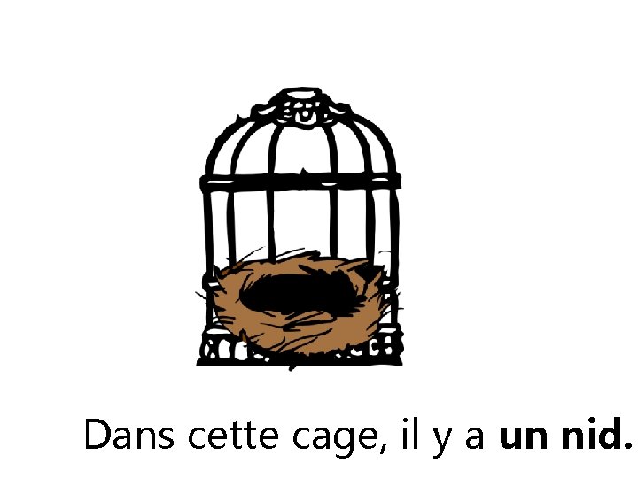 Dans cette cage, il y a un nid. Dans cette cage, il y a un nid.
