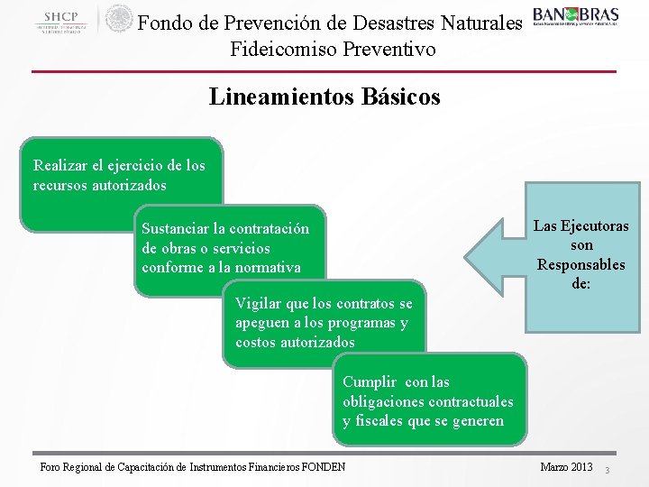 Fondo de Prevención de Desastres Naturales Fideicomiso Preventivo Lineamientos Básicos Realizar el ejercicio de