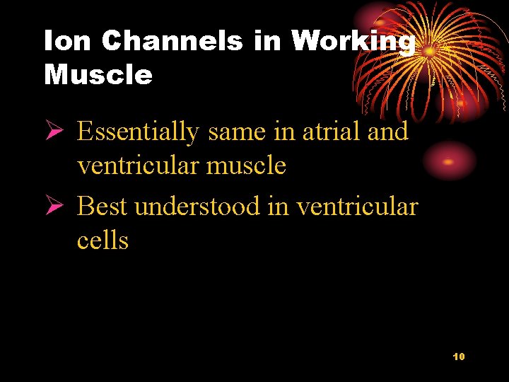 Ion Channels in Working Muscle Ø Essentially same in atrial and ventricular muscle Ø