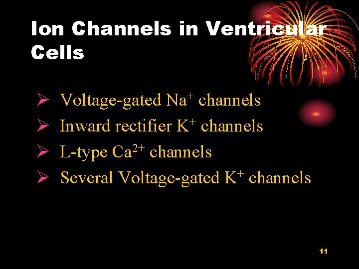 Ion Channels in Ventricular Cells Ø Ø Voltage-gated Na+ channels Inward rectifier K+ channels