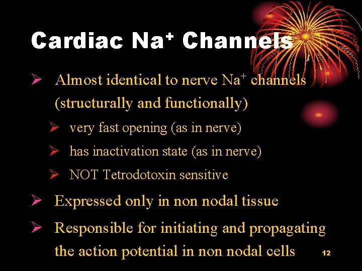 Cardiac + Na Channels Ø Almost identical to nerve Na+ channels (structurally and functionally)