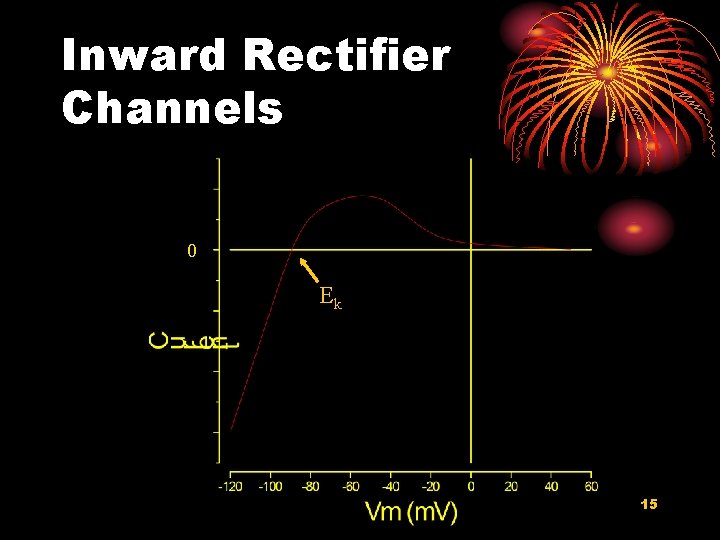 Inward Rectifier Channels 0 Ek 15 