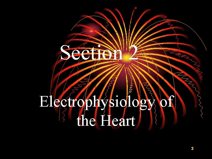 Section 2 Electrophysiology of the Heart 2 