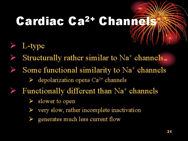 Cardiac 2+ Ca Channels Ø L-type Ø Structurally rather similar to Na+ channels Ø