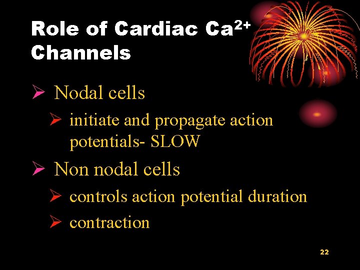 Role of Cardiac Ca 2+ Channels Ø Nodal cells Ø initiate and propagate action