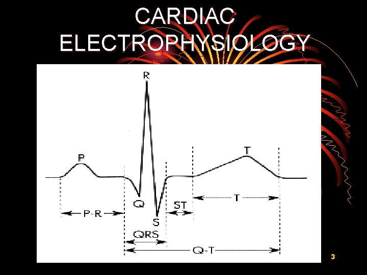 CARDIAC ELECTROPHYSIOLOGY 3 