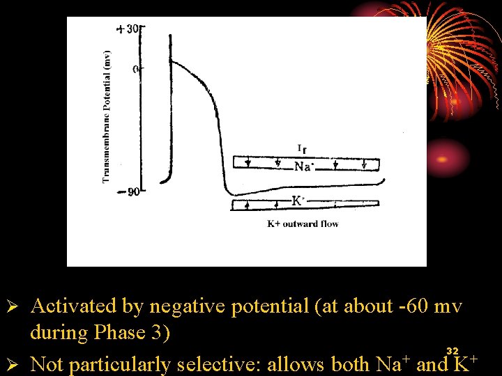 Activated by negative potential (at about -60 mv during Phase 3) 32 + Ø