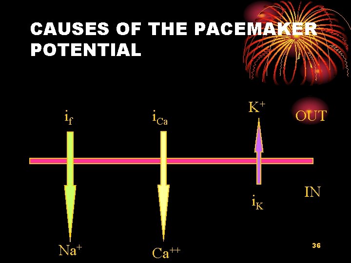 CAUSES OF THE PACEMAKER POTENTIAL if i. Ca K+ i. K Na+ Ca++ OUT