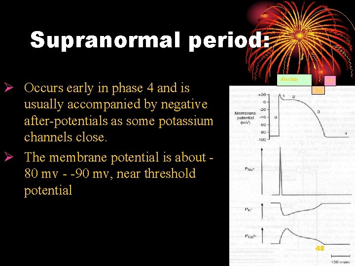 Supranormal period: Ø Occurs early in phase 4 and is usually accompanied by negative