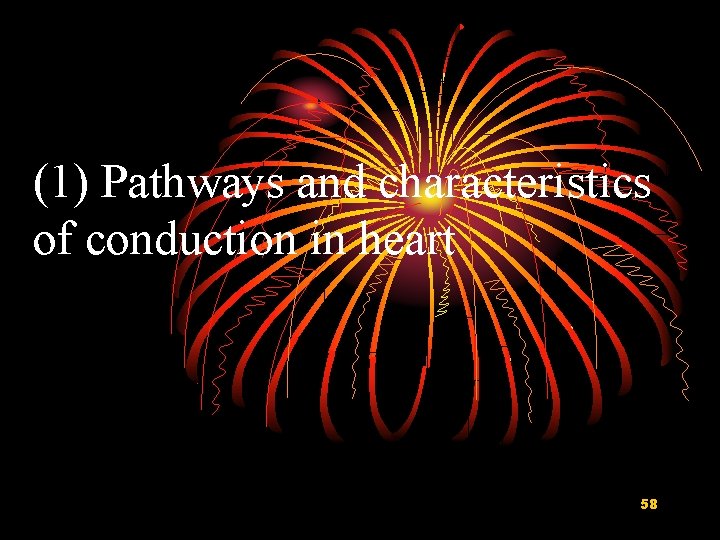 (1) Pathways and characteristics of conduction in heart 58 