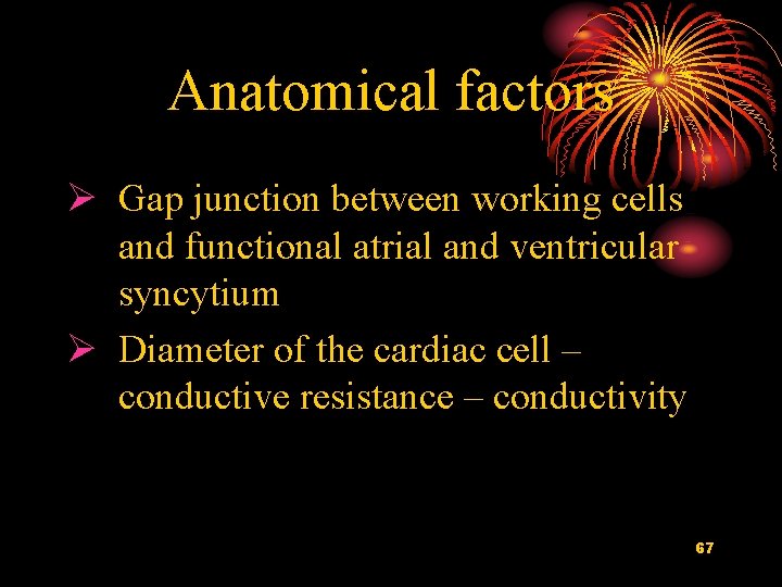 Anatomical factors Ø Gap junction between working cells and functional atrial and ventricular syncytium