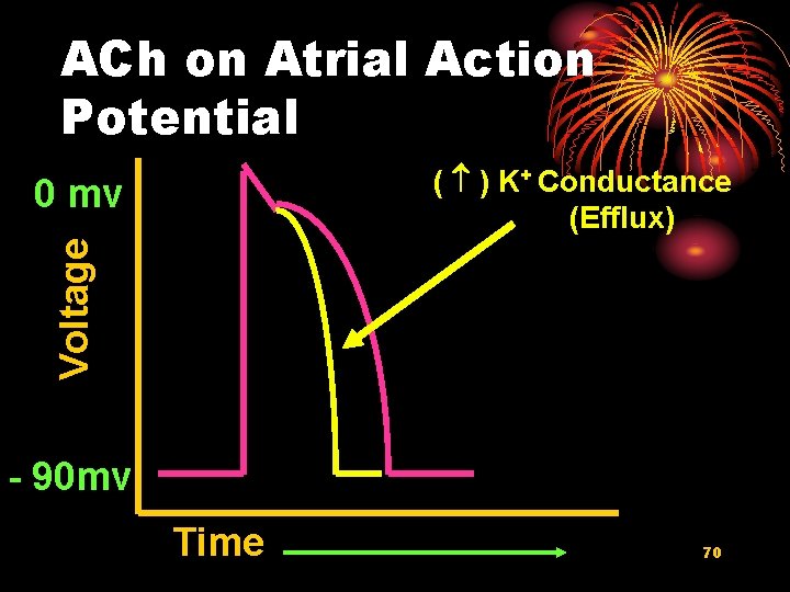 ACh on Atrial Action Potential ( ) K+ Conductance (Efflux) Voltage 0 mv -