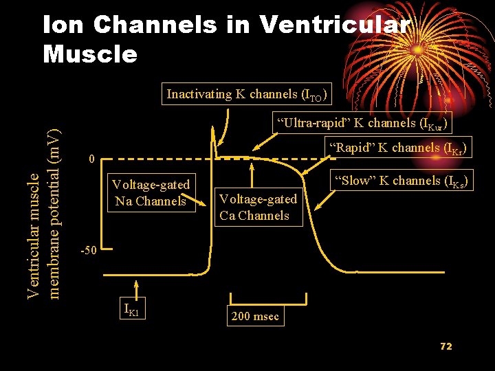 Ion Channels in Ventricular Muscle Ventricular muscle membrane potential (m. V) Inactivating K channels