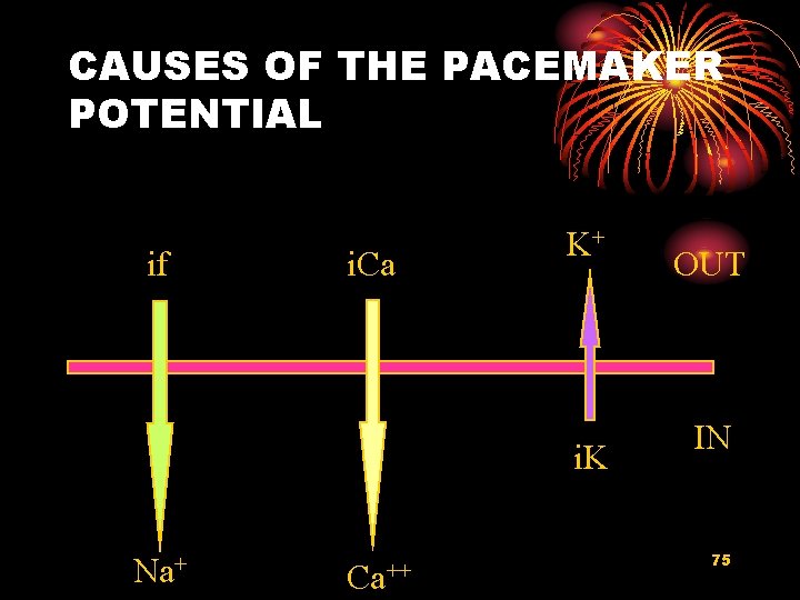 CAUSES OF THE PACEMAKER POTENTIAL if i. Ca K+ i. K Na+ Ca++ OUT