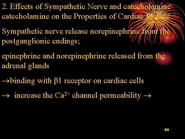 2. Effects of Sympathetic Nerve and catecholamine on the Properties of Cardiac Muscle Sympathetic