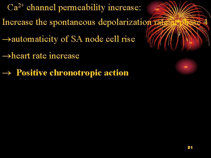 Ca 2+ channel permeability increase: Increase the spontaneous depolarization rate at phase 4 automaticity