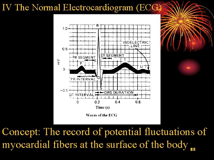 IV The Normal Electrocardiogram (ECG) Concept: The record of potential fluctuations of myocardial fibers