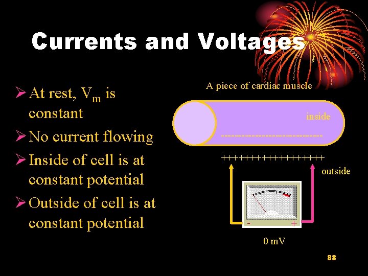 Currents and Voltages Ø At rest, Vm is constant Ø No current flowing Ø