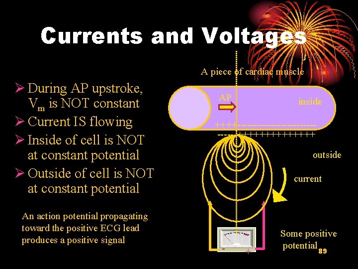 Currents and Voltages A piece of cardiac muscle Ø During AP upstroke, Vm is