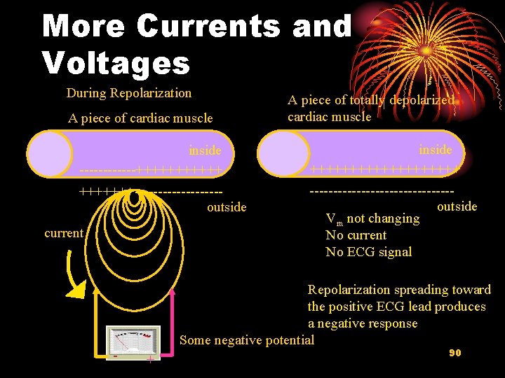 More Currents and Voltages During Repolarization A piece of cardiac muscle A piece of