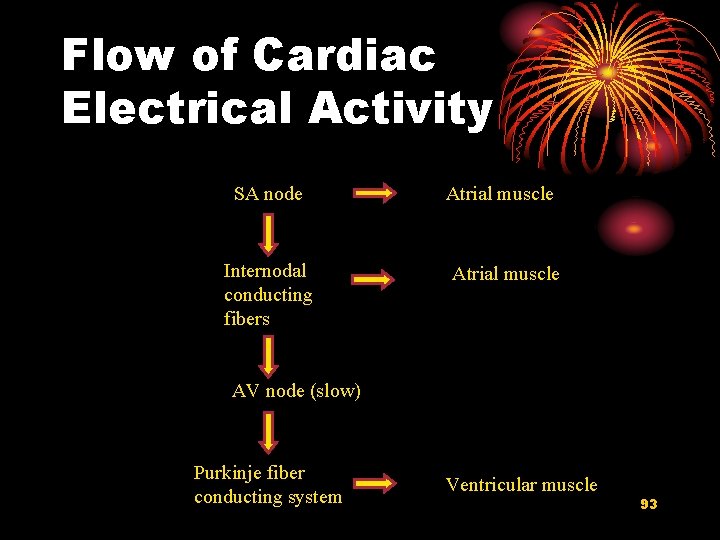 Flow of Cardiac Electrical Activity SA node Internodal conducting fibers Atrial muscle AV node