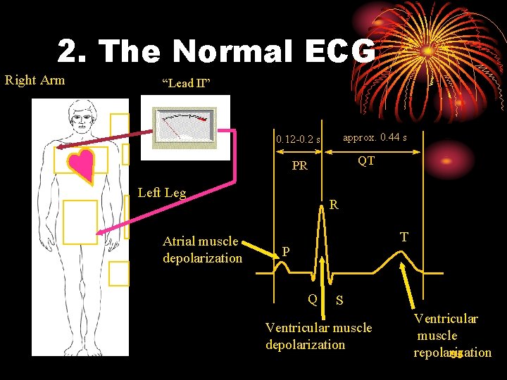 2. The Normal ECG Right Arm “Lead II” approx. 0. 44 s 0. 12