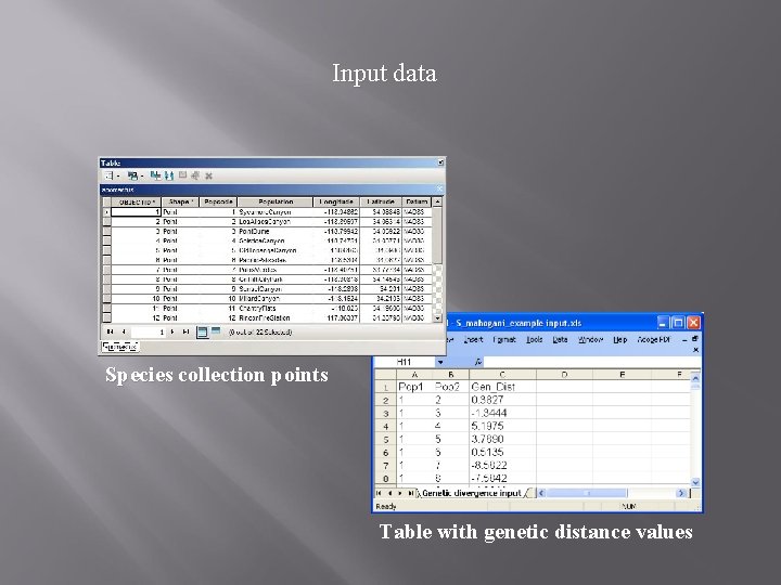 Input data Species collection points Table with genetic distance values Input data Species collection points Table with genetic distance values
