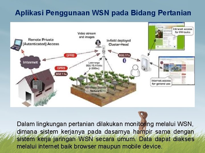 Aplikasi Penggunaan WSN pada Bidang Pertanian Dalam lingkungan pertanian dilakukan monitoring melalui WSN, dimana