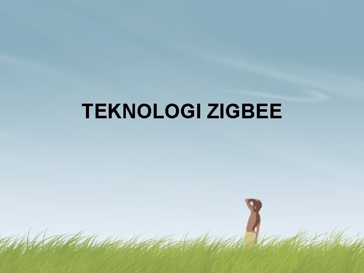 TEKNOLOGI ZIGBEE 