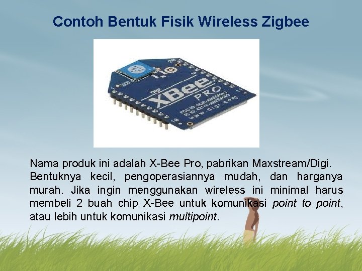 Contoh Bentuk Fisik Wireless Zigbee Nama produk ini adalah X-Bee Pro, pabrikan Maxstream/Digi. Bentuknya