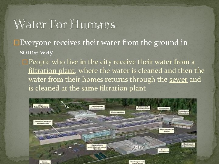 Water For Humans �Everyone receives their water from the ground in some way �
