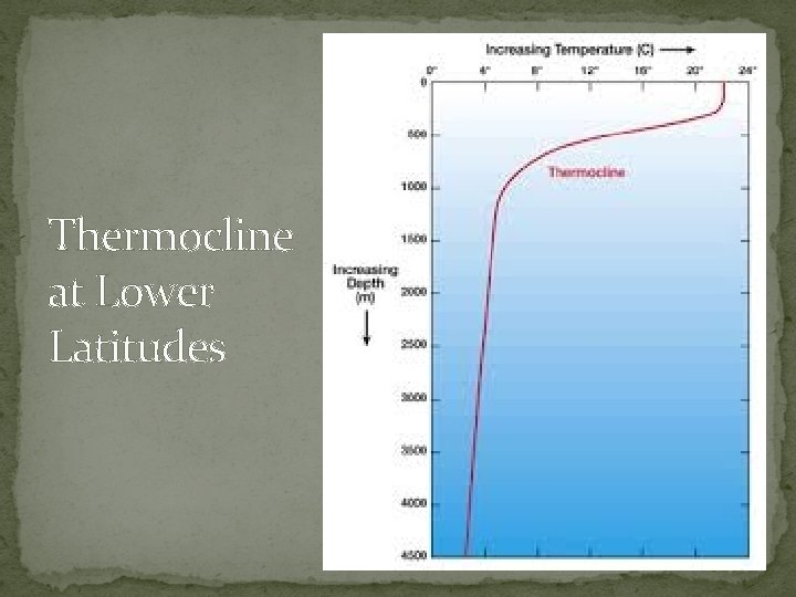 Thermocline at Lower Latitudes 