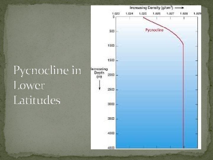 Pycnocline in Lower Latitudes 