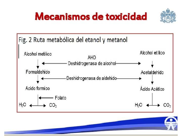 Mecanismos de toxicidad 