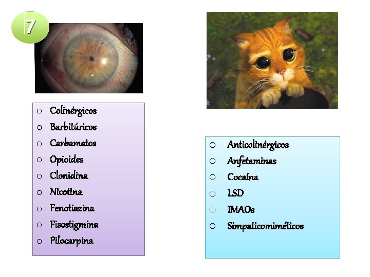 7 o o o o o Colinérgicos Barbitúricos Carbamatos Opioides Clonidina Nicotina Fenotiazina Fisostigmina