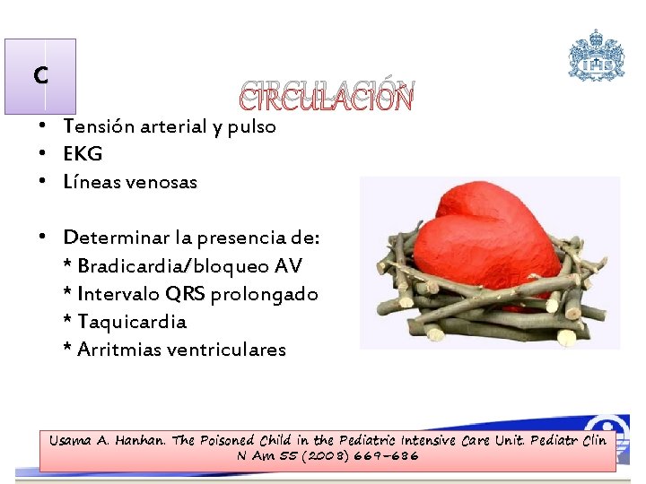 C • • • CIRCULACIÓN Tensión arterial y pulso EKG Líneas venosas • Determinar