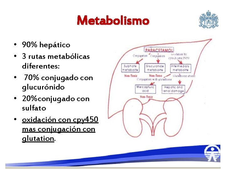 Metabolismo • 90% hepático • 3 rutas metabólicas diferentes: • 70% conjugado con glucurónido