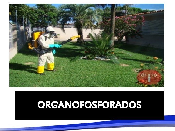 ORGANOFOSFORADOS 