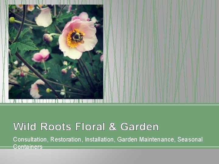 Wild Roots Floral & Garden Consultation, Restoration, Installation, Garden Maintenance, Seasonal Containers 