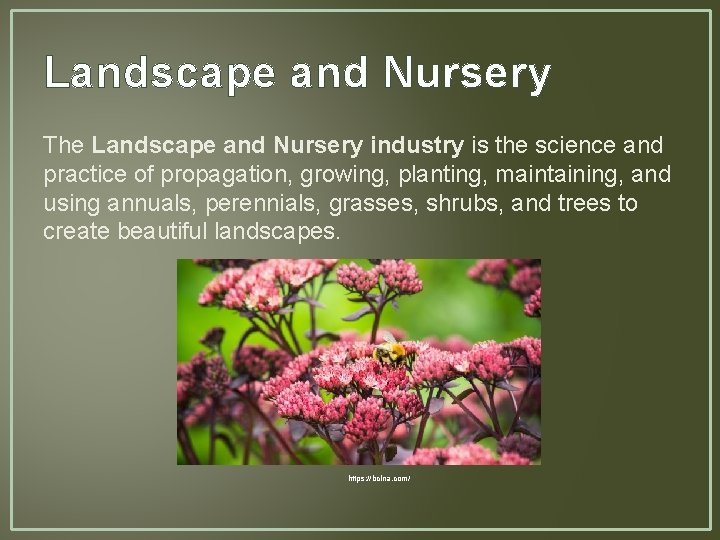 Landscape and Nursery The Landscape and Nursery industry is the science and practice of