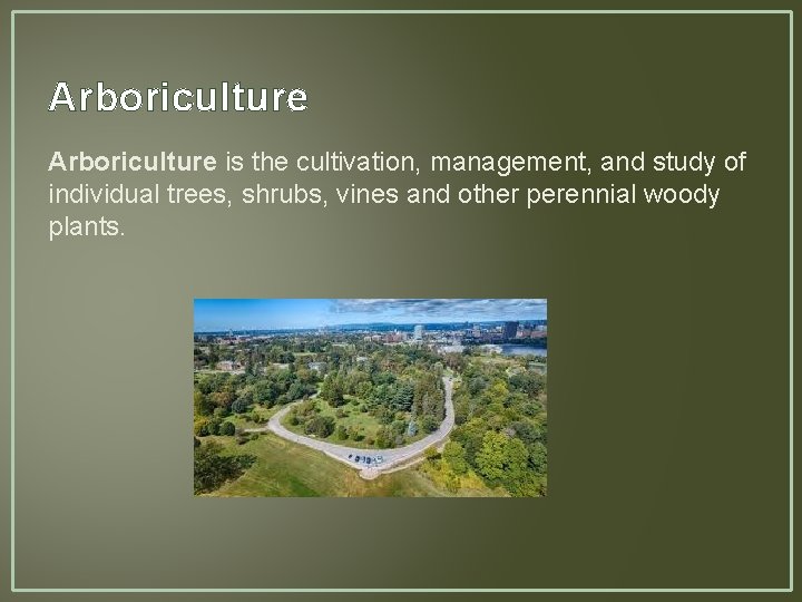 Arboriculture is the cultivation, management, and study of individual trees, shrubs, vines and other