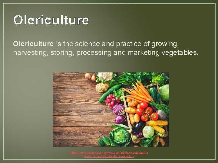 Olericulture is the science and practice of growing, harvesting, storing, processing and marketing vegetables.