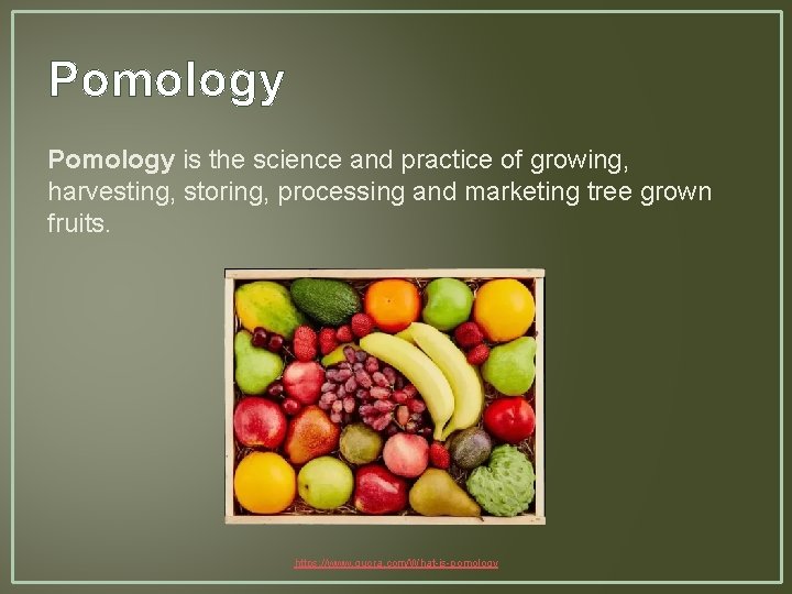 Pomology is the science and practice of growing, harvesting, storing, processing and marketing tree