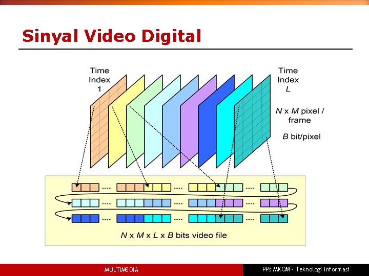Sinyal Video Digital MULTIMEDIA PPs MKOM – Teknologi Informasi 