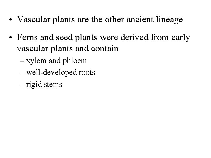  • Vascular plants are the other ancient lineage • Ferns and seed plants