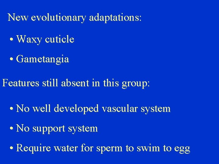 New evolutionary adaptations: • Waxy cuticle • Gametangia Features still absent in this group: