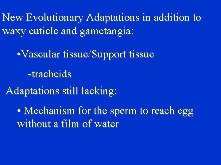 New Evolutionary Adaptations in addition to waxy cuticle and gametangia: • Vascular tissue/Support tissue